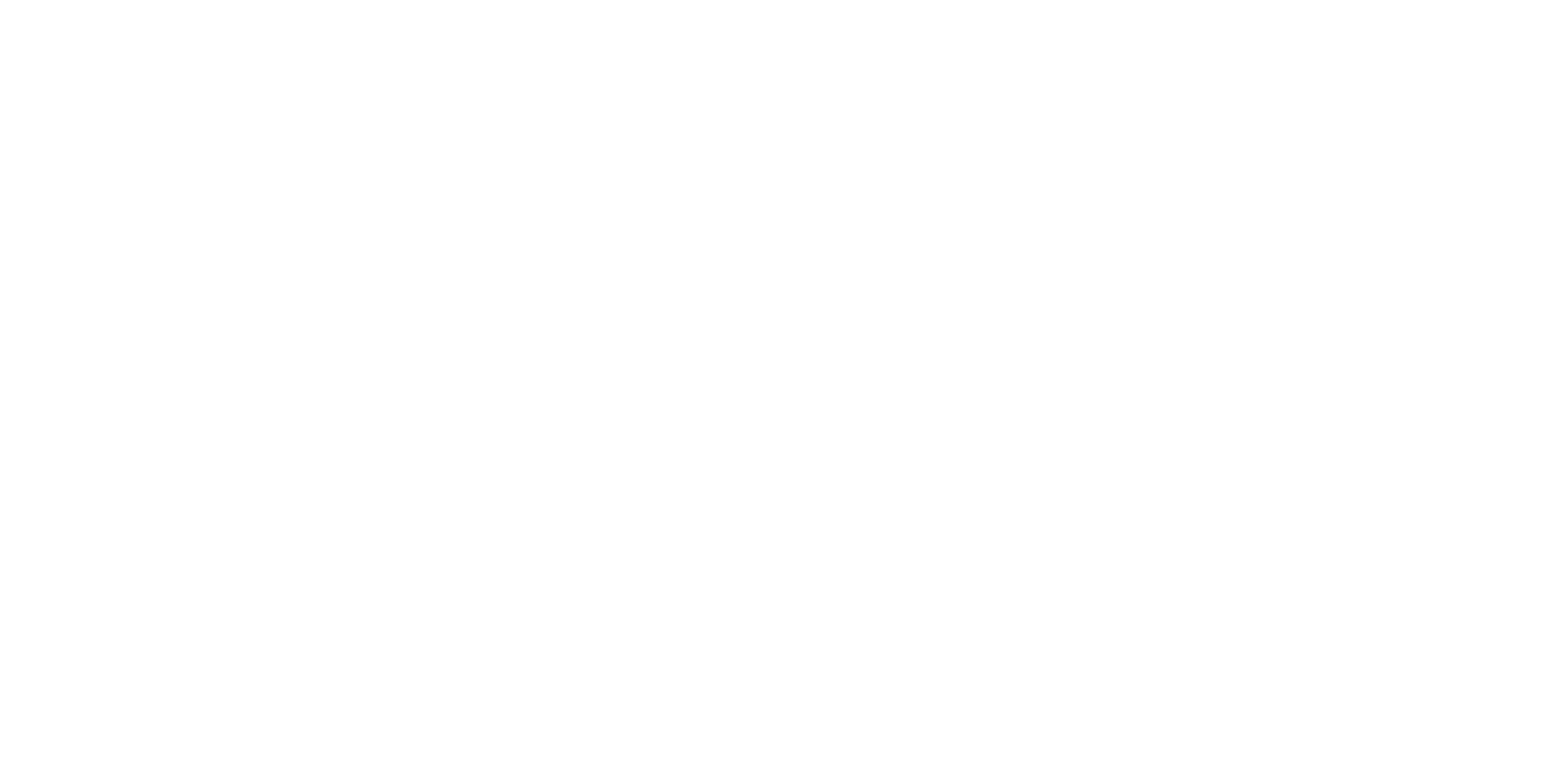 Metro Risk Management Group